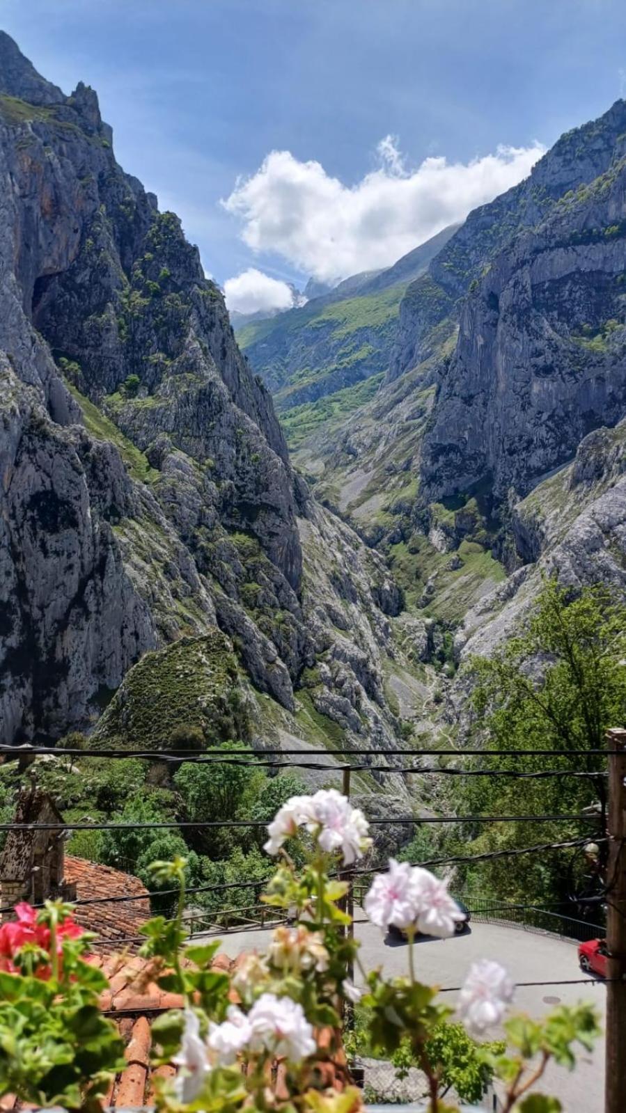 El Portal Del Abuelo Lejlighed Arenas De Cabrales Eksteriør billede